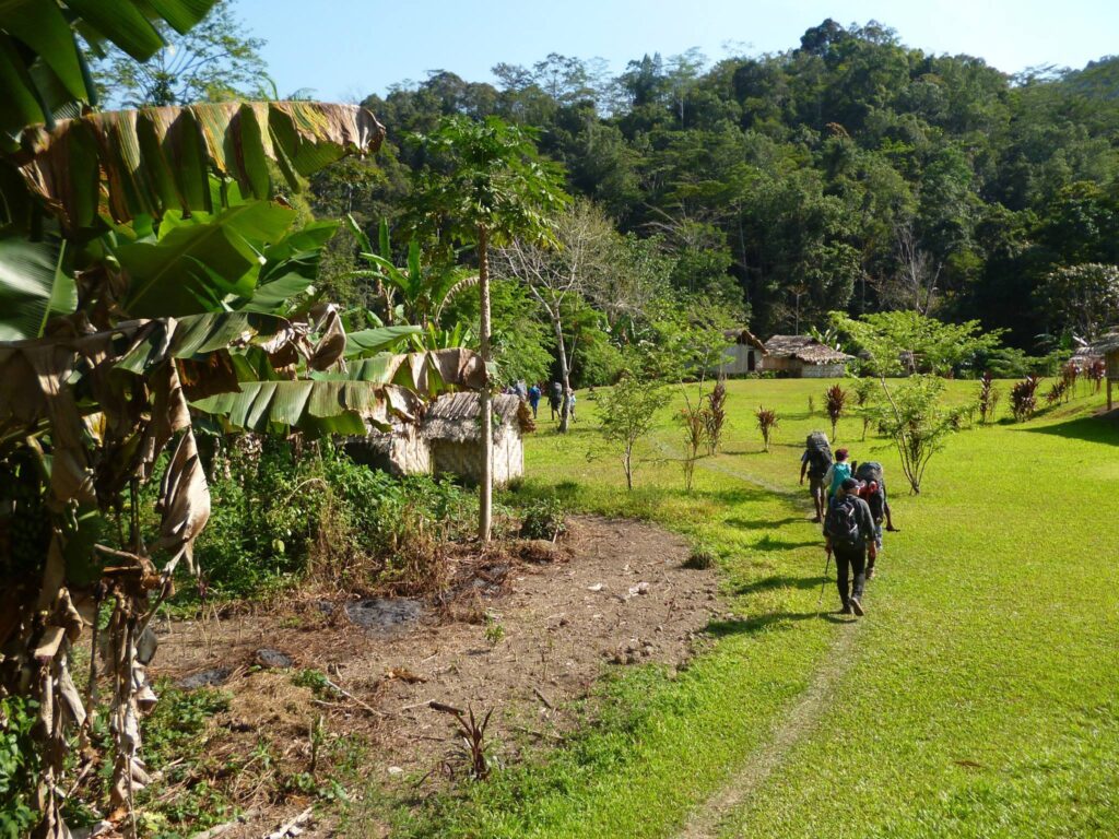 A group of people carrying large hiking backpacks walk along a grass path through a clearing. The scene features tropical plants like banana trees, small thatched huts, and a dense, green forested hillside in the background.