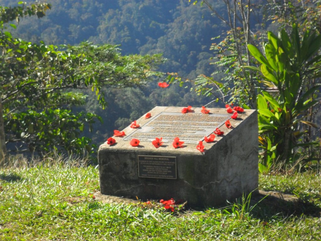The Brigade Hill Memorial, a rectangular stone block with two bronze plaques, sits on a grassy slope. Several red artificial poppies are placed along the top edge of the stone. The background shows a lush, green valley with dense trees under bright sunlight.