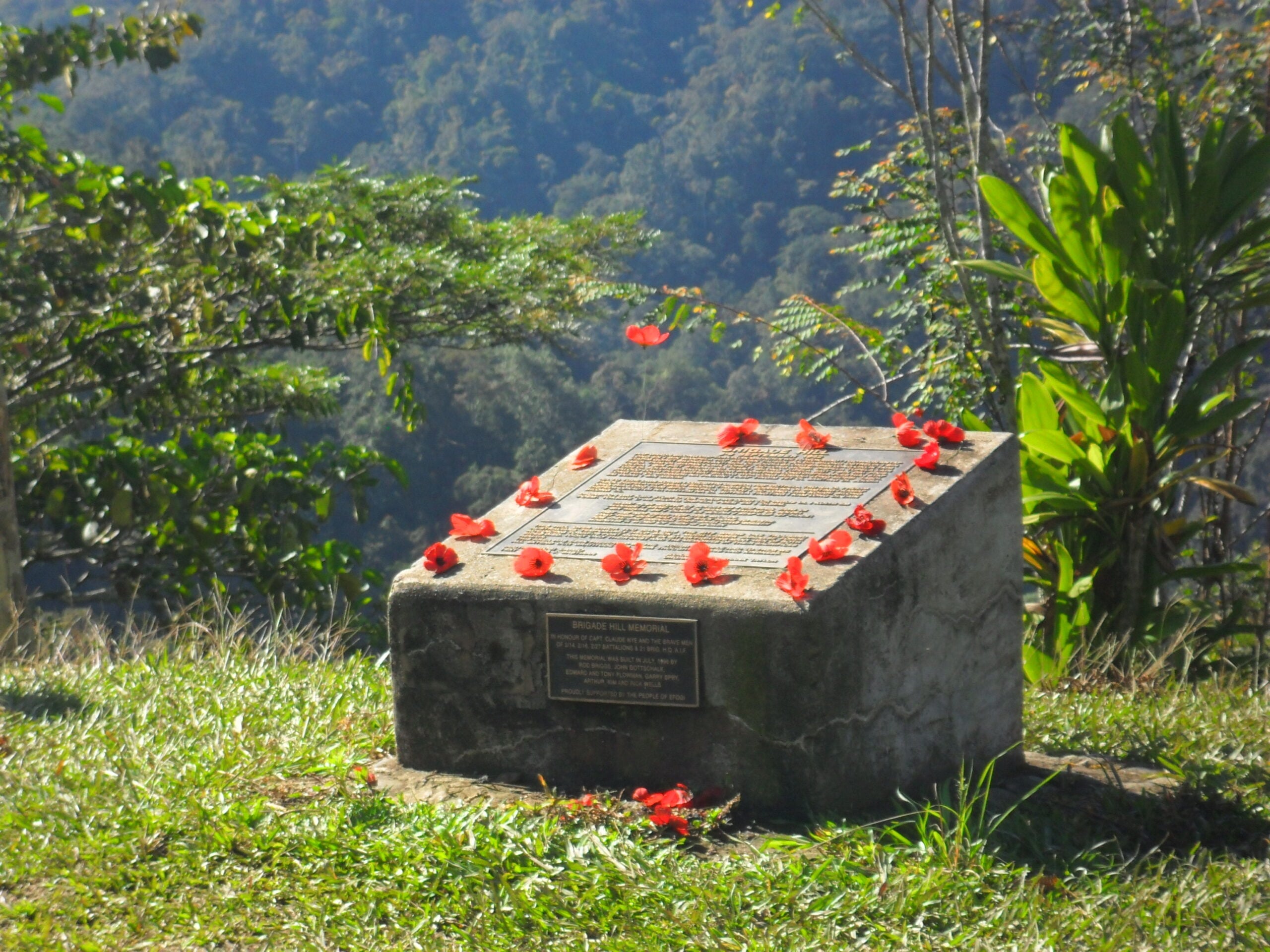 The Brigade Hill Memorial, a rectangular stone block with two bronze plaques, sits on a grassy slope. Several red artificial poppies are placed along the top edge of the stone. The background shows a lush, green valley with dense trees under bright sunlight.