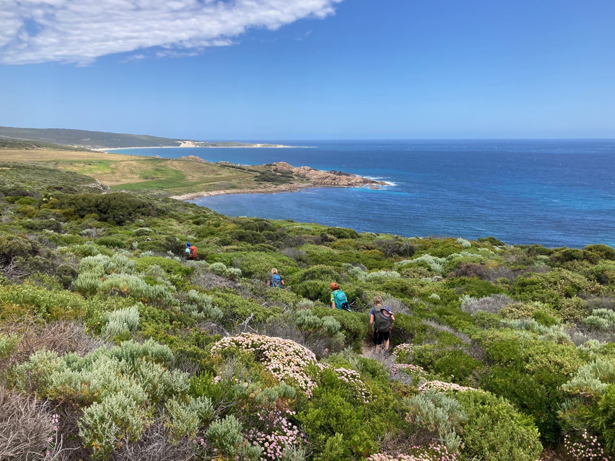 high-angle view of several hikers with backpacks navigating a winding trail through dense green coastal scrub toward a rocky blue ocean bay.