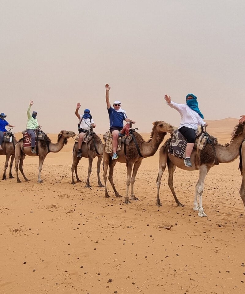 Morocco Camels Trek