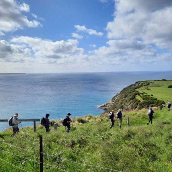 Group of hikers walking along a grassy trail on a coastal cliffside bordered by a wire fence; trail leads toward a green field at the cliff’s edge with calm blue ocean stretching to the horizon under a partly cloudy sky.