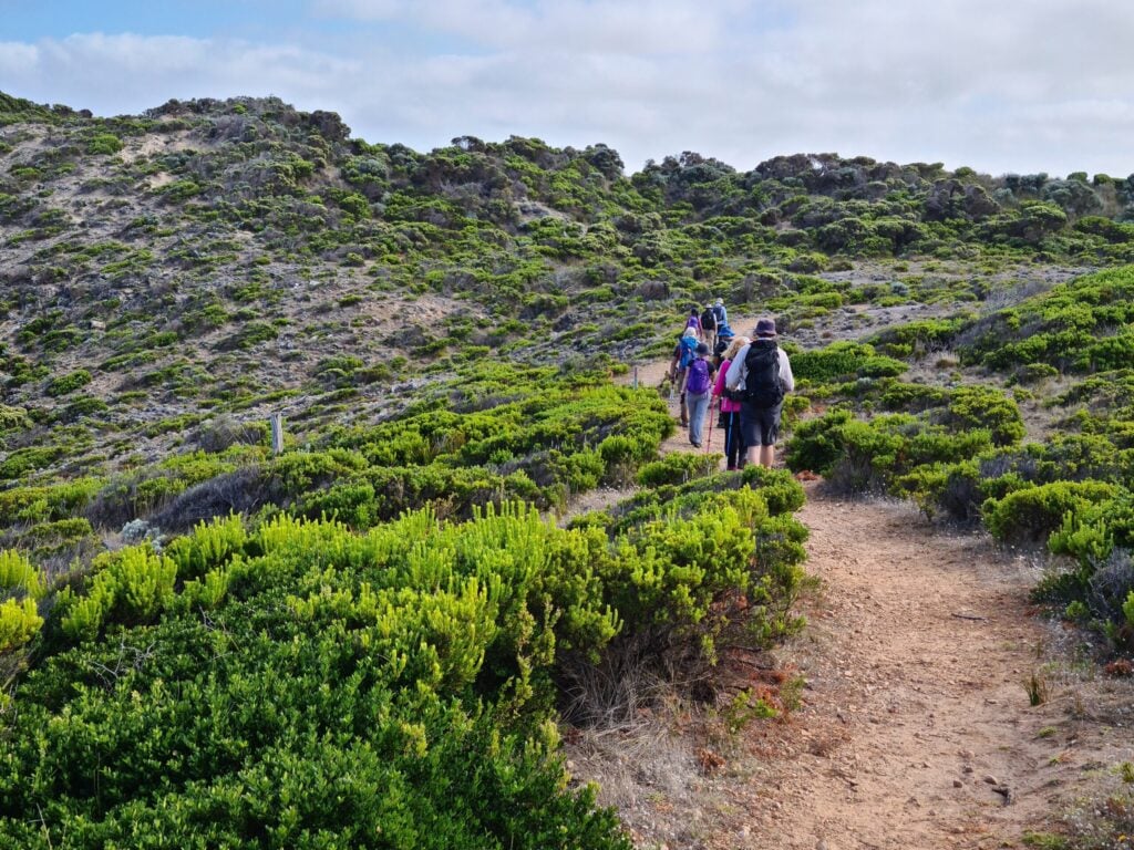 A group of hikers with backpacks walks along a dirt path winding through low green shrubs on a coastal hillside.