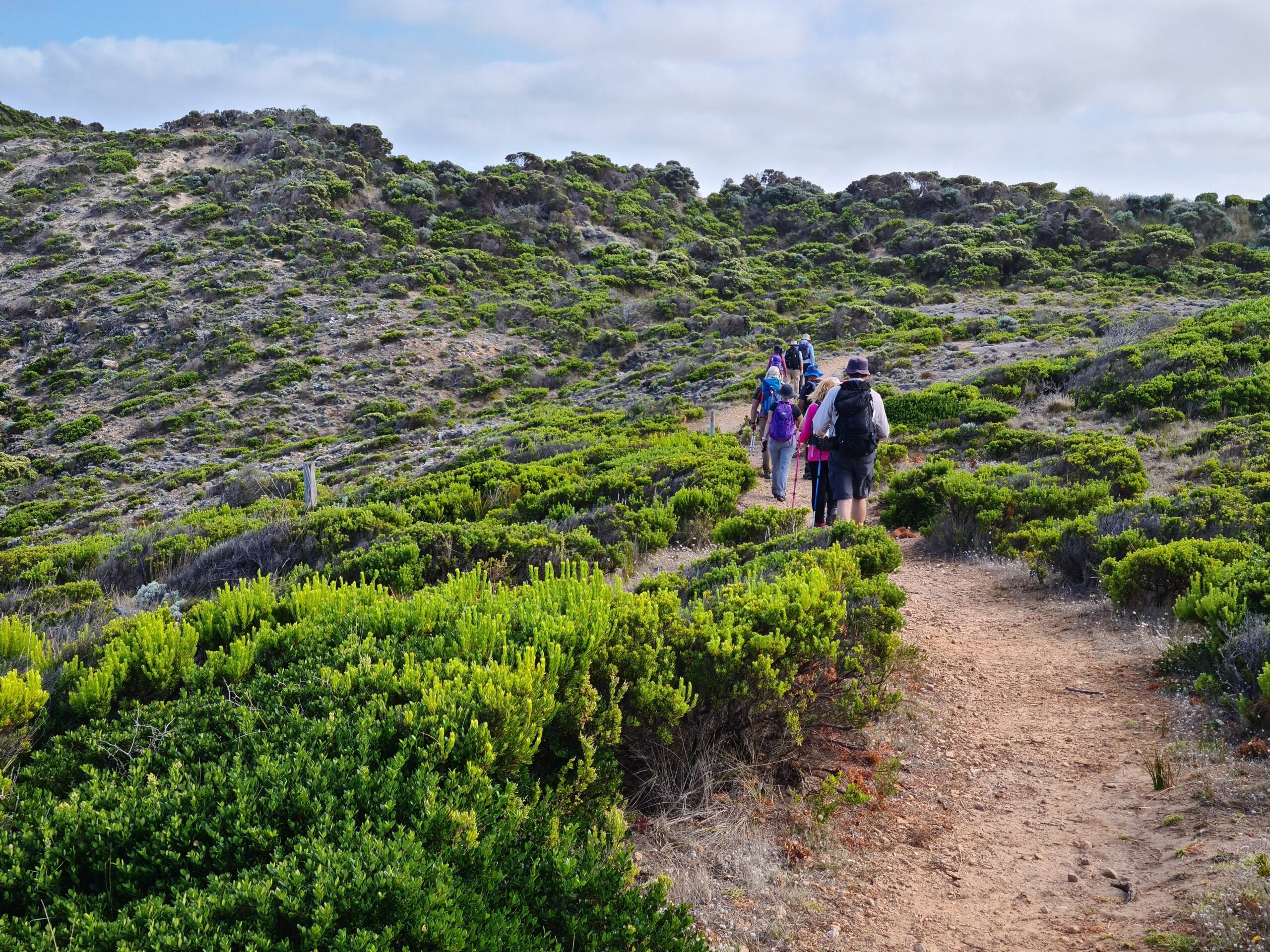 A group of hikers with backpacks walks along a dirt path winding through low green shrubs on a coastal hillside.