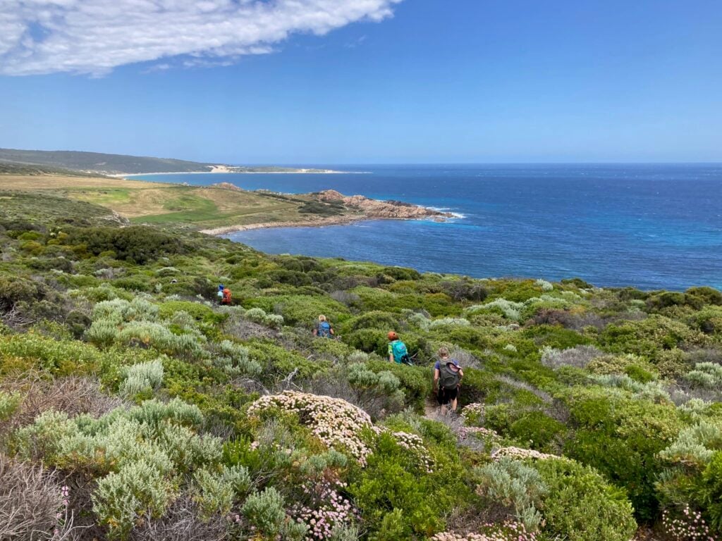 high-angle view of several hikers with backpacks navigating a winding trail through dense green coastal scrub toward a rocky blue ocean bay.