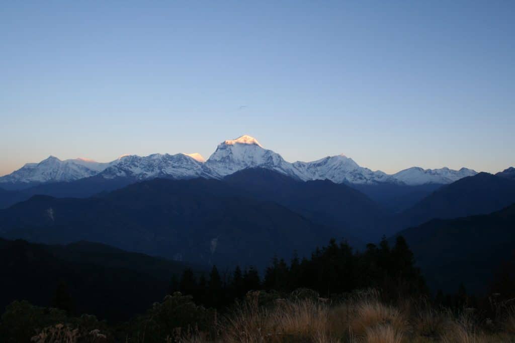 Panoramic view of a mountain range at dawn or dusk, with the tallest snow-covered peak illuminated by sunlight against darker surrounding peaks, grassy foreground, and forested valleys under a clear sky.