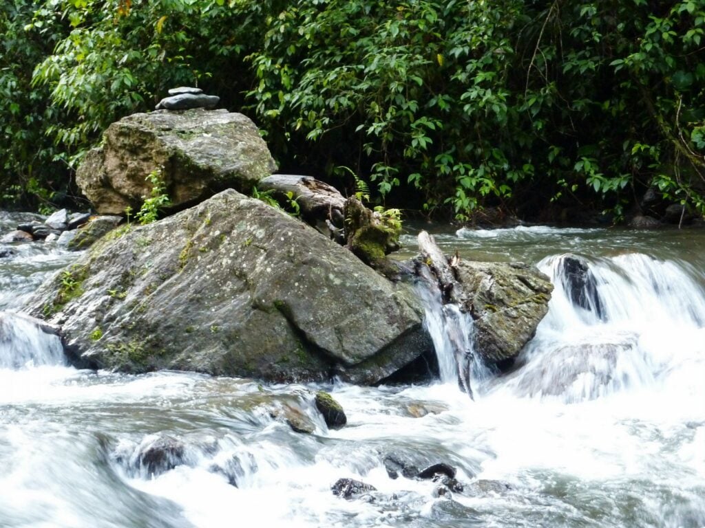 White water rushes around large, mossy grey boulders in a mountain stream, backed by dense green tropical foliage.
