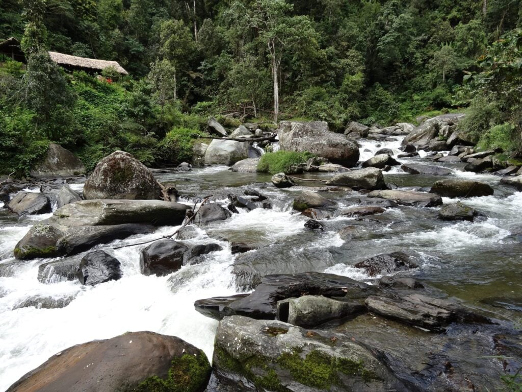 Clear mountain water rushes over moss-covered boulders in a series of rapids, surrounded by dense tropical greenery.