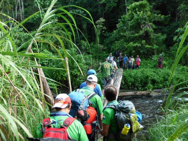 Group of hikers crossing a narrow log bridge over a stream in a dense tropical forest, wearing backpacks and outdoor gear, moving in single file through lush greenery.