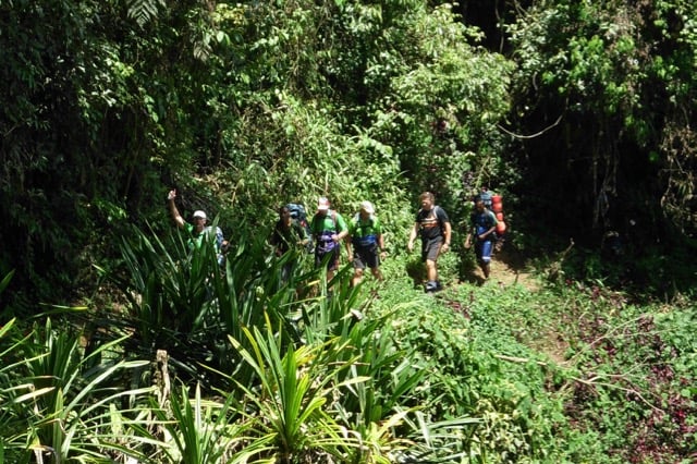 A group of six hikers with large backpacks walks in a single-file line along a narrow dirt path through lush, green tropical vegetation. One hiker in the front waves toward the camera.