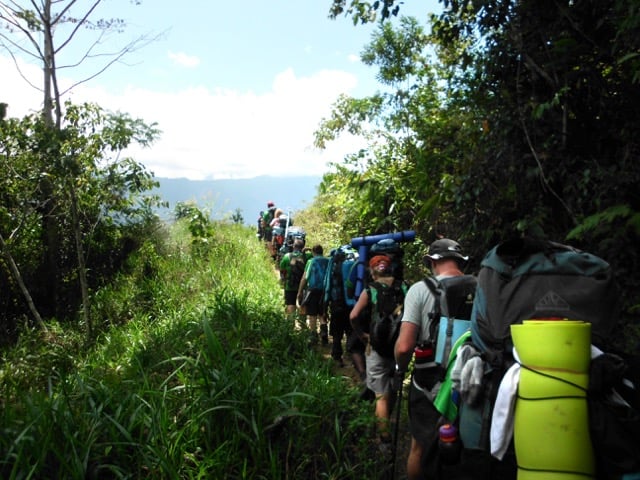 Group of hikers carrying large backpacks with gear walking along a narrow trail through dense green forest, surrounded by tall grass and trees, with distant mountains visible in the background.