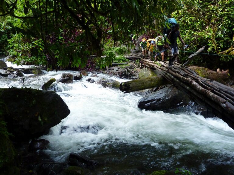 A high-action shot in a dense, green forest. A line of hikers with heavy packs crosses a turbulent, frothing river. They are walking across a rustic bridge constructed from multiple thick tree trunks lashed together. Lush tropical foliage hangs over the riverbanks, and a safety rope is visible alongside the bridge.