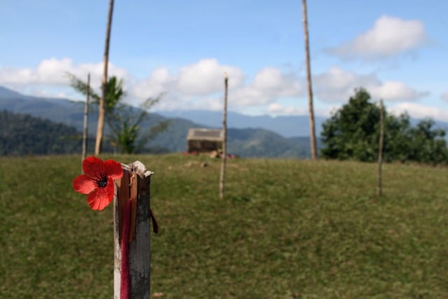 A single bright red poppy flower is tucked into the split end of a weathered wooden post in the foreground. The background is a soft-focus vista of a grassy hilltop and distant blue-green mountain ridges under a bright, partly cloudy sky.
