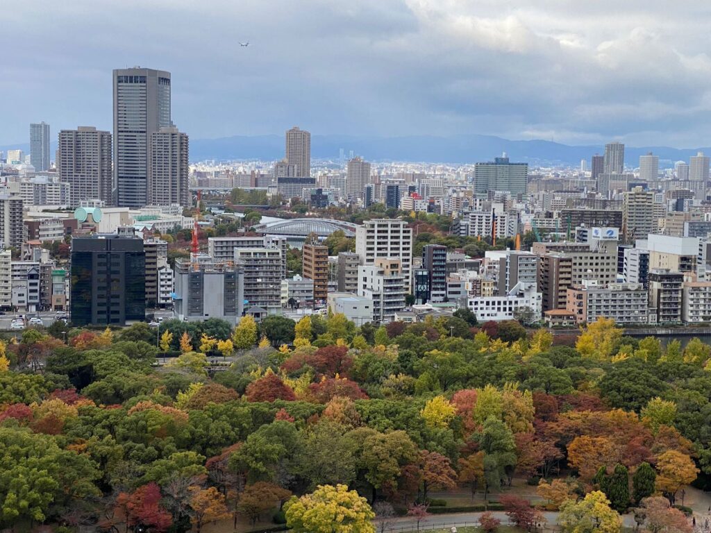 Cityscape with dense mid‑rise and high‑rise buildings, including a tall skyscraper on the left; foreground features a large park filled with autumn trees in shades of green, yellow, orange, and red; overcast sky with thick clouds and a small airplane visible above.