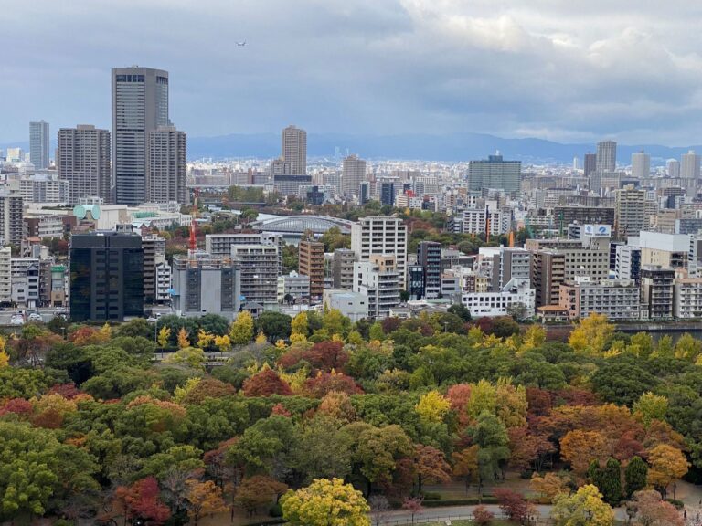 Cityscape with dense mid‑rise and high‑rise buildings, including a tall skyscraper on the left; foreground features a large park filled with autumn trees in shades of green, yellow, orange, and red; overcast sky with thick clouds and a small airplane visible above.