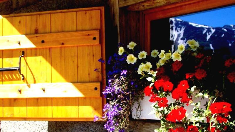 A wooden window box filled with vibrant red, white, and purple flowers sits outside a sunlit window with a light-colored wooden shutter. A snow-capped mountain peak is reflected in the window pane.