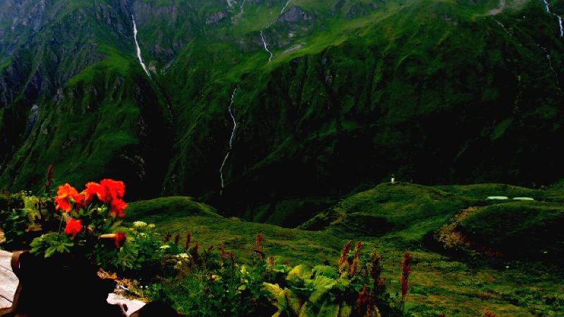 view from a high vantage point featuring bright red flowers in a dark planter in the lower-left corner. The background consists of steep, vibrant green mountain slopes. Several thin, white waterfalls or streams cascade down the dark rock faces between the greenery, leading down into a deep, misty valley.