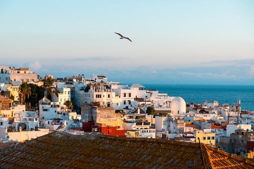 A rooftop view of a densely packed coastal town with white-walled buildings and a white-domed structure. A seagull flies in the sky above the blue ocean in the background.