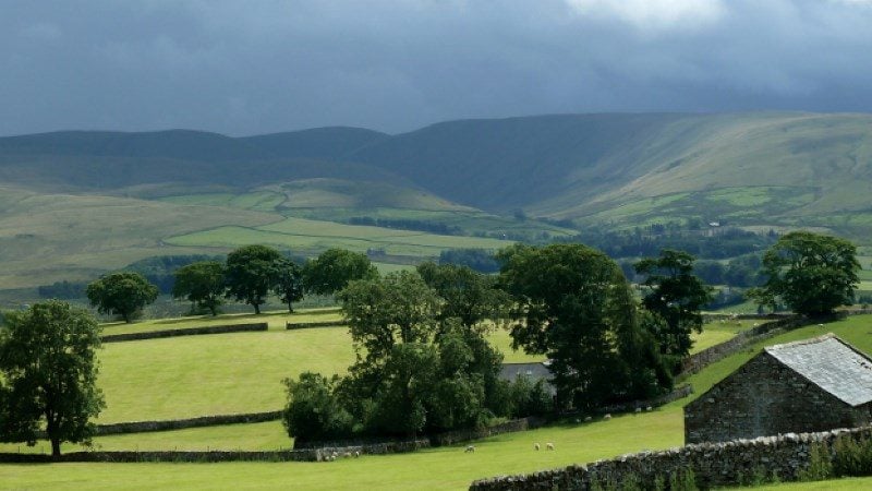 A wide landscape of rural countryside. In the foreground, sheep graze in a bright green pasture bordered by traditional stone fences and leafy trees. In the background, large, treeless hills rise under a heavy, overcast sky.