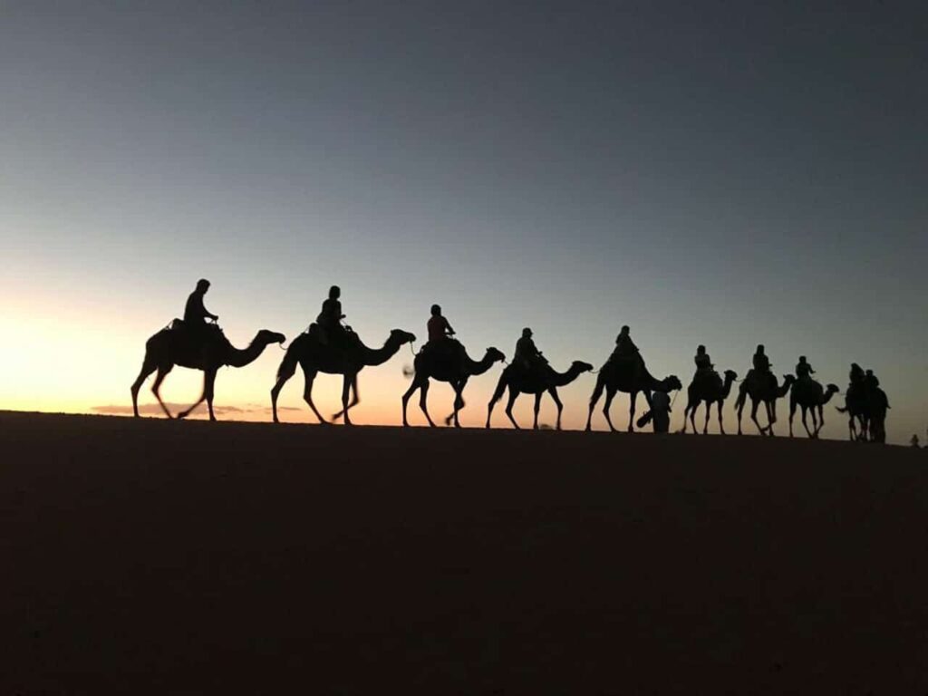 A silhouetted line of camels and riders trekking across a sand dune in the Sahara Desert at sunset.